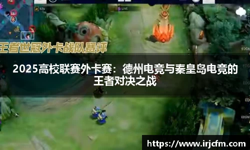 VSport登录入口